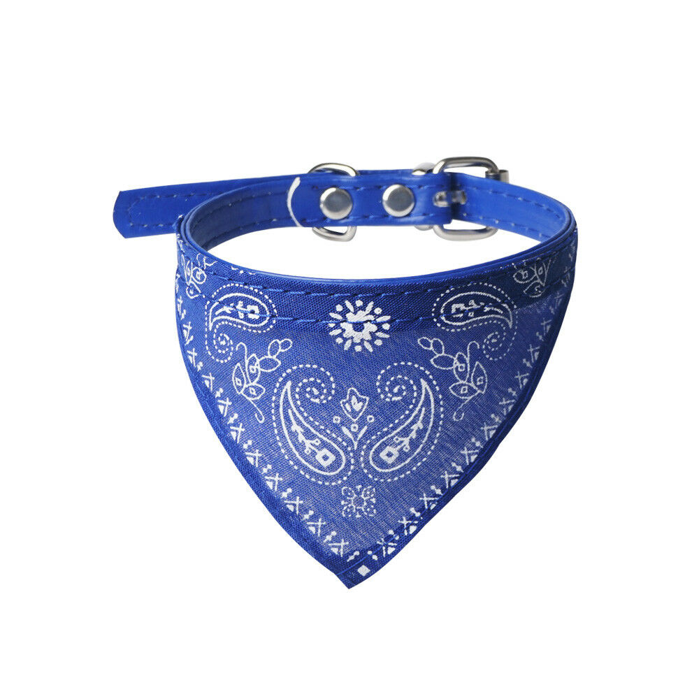 Hundehalsband mit Halstuch – Blau